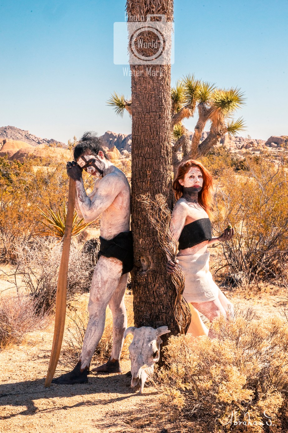 AJ_Desert Spirit 2_30 x 20