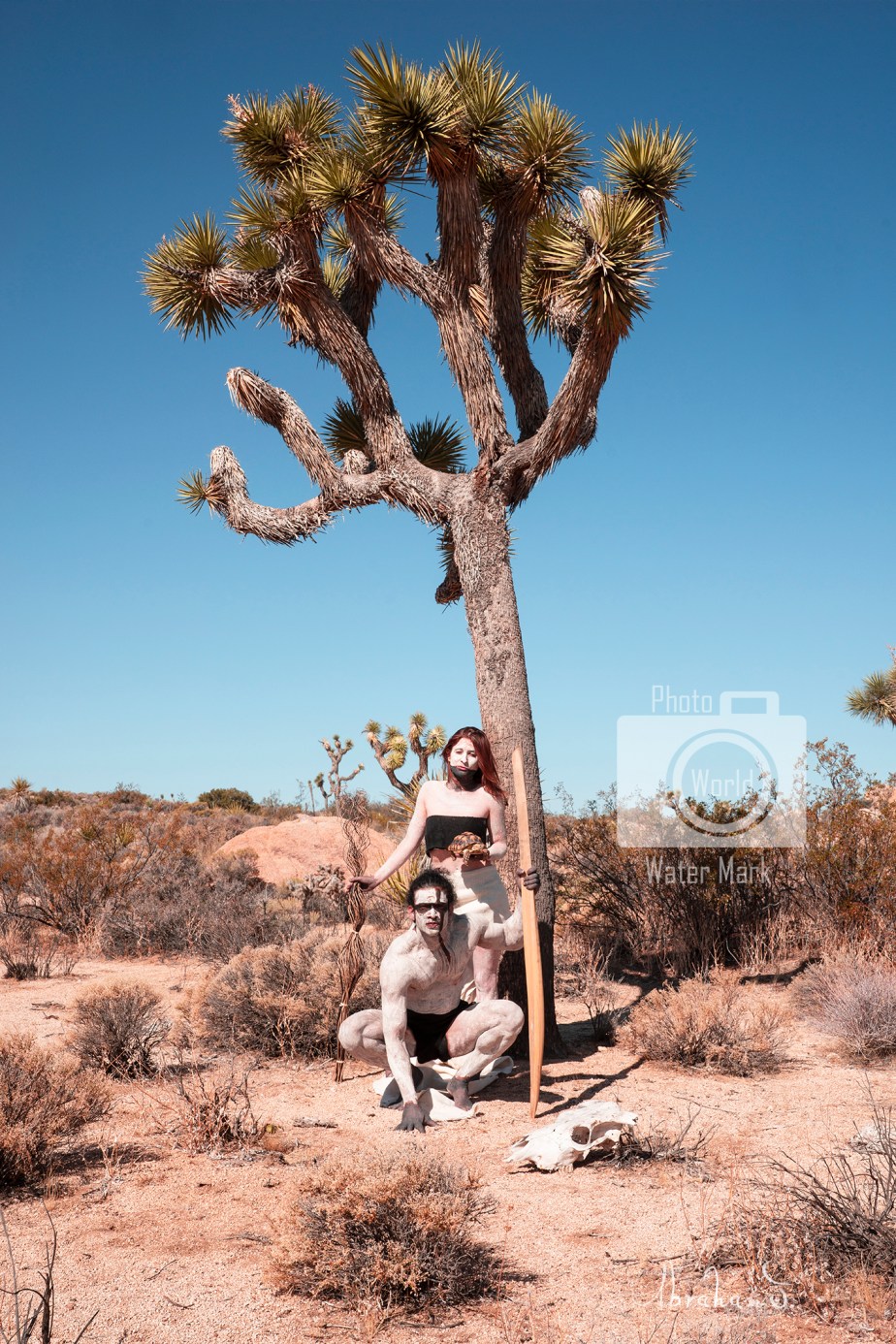 AJ_Desert Spirit_30 x 20